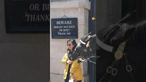Horse gives her a scare #horseguardsparade