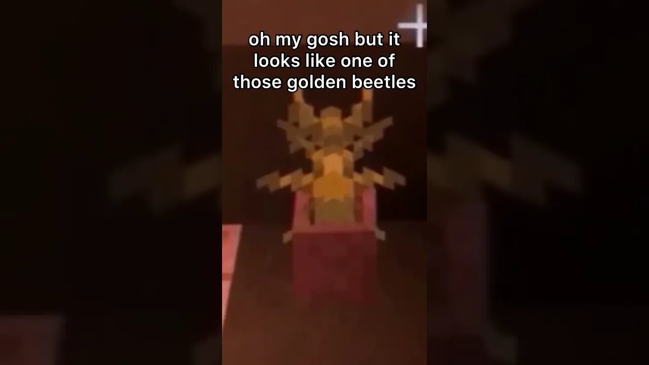 GOLDEN SCARAB 🪲✨ #shorts #minecraft #funnyminecraftshorts #minecraftfunny #beetle