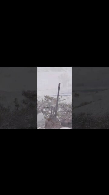 Weather changes the game #shorts #deer #deerhunting