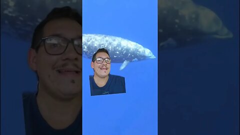 These animals can survive deeper than the titan sub went