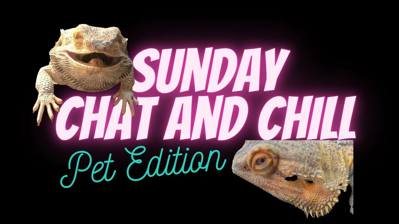 Sunday Chat and Chill : Pet Edition