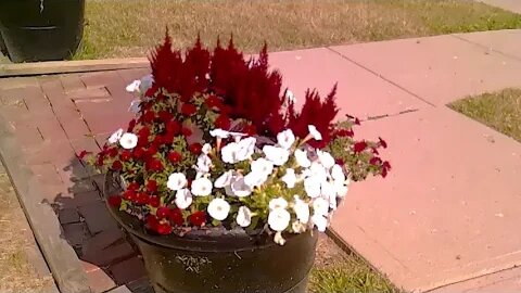 Sundayscape : The Gardens At Gantz Farm