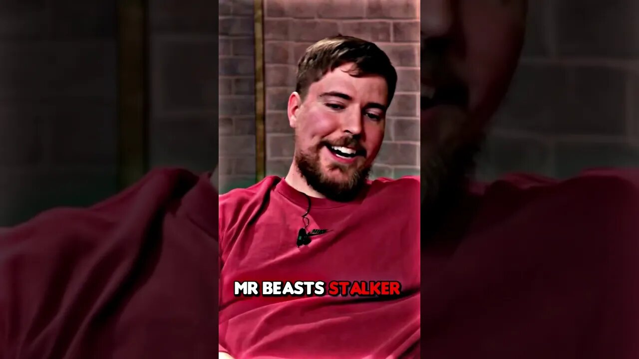 Mr beasts stalker