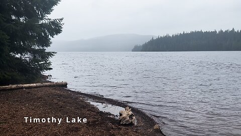 Hiking on the BEAUTIFUL 13-Mile Timothy Lake Shoreline Loop! | 4K Mount Hood National Forest Oregon