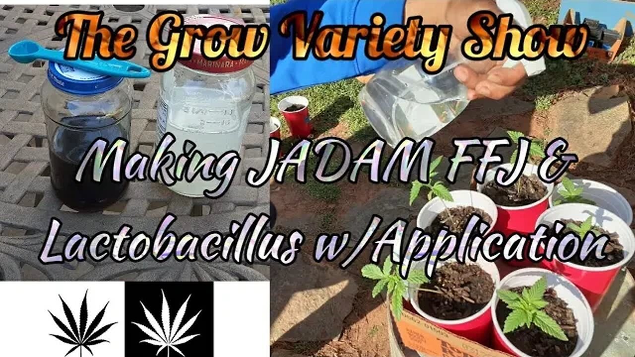 Organic Nutrients you Have at Home (The Grow Variety Show ep.183)