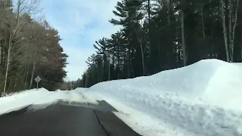 A short drive in the chippewa county forest