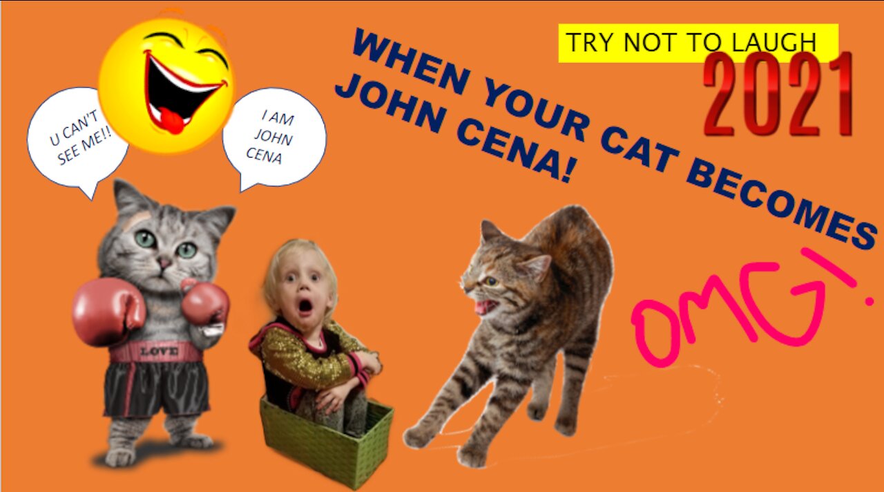 When Your Cat Becomes John Cena!!! #1 😂 Funny Cat Videos 😂 2021 (watch till the end)