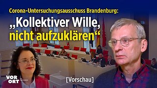 Corona-Untersuchungsausschuss: AfD-Politiker wirft PEI-Abteilungsleiterin „Vertuschung“ vor [Teaser]