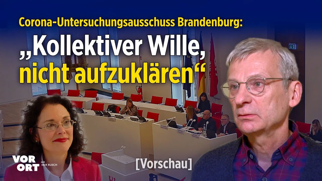 Corona-Untersuchungsausschuss: AfD-Politiker wirft PEI-Abteilungsleiterin „Vertuschung“ vor [Teaser]