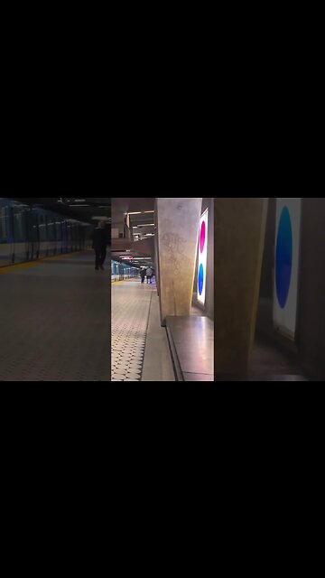 Peel metro ambience #montreal #viralvideo #train #travel