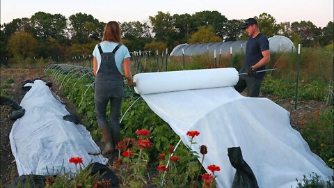 Frost Prep & Late Fall Garden Tour