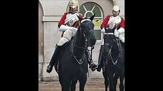 Dismount the Horse #horseguardsparade