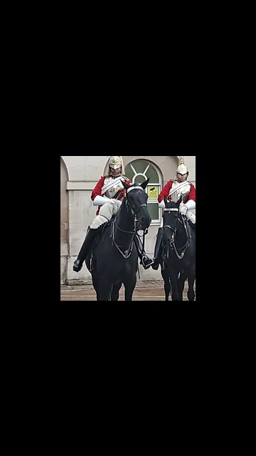 Dismount the Horse #horseguardsparade