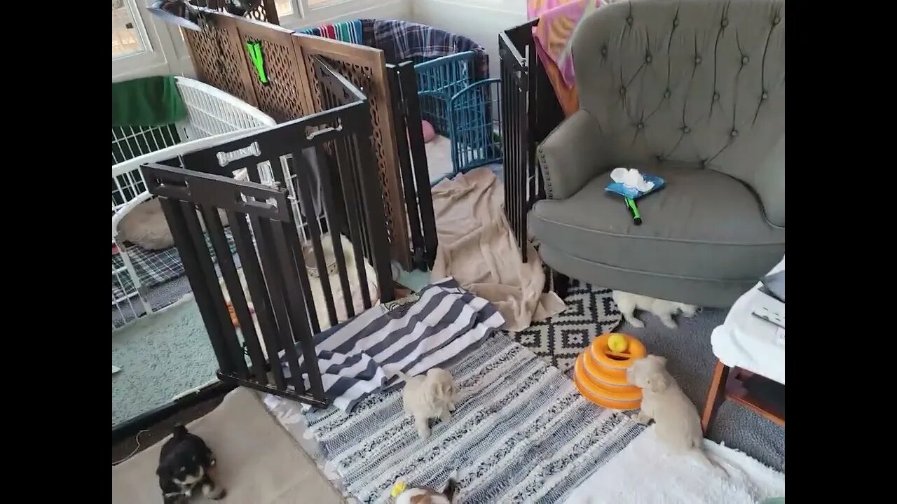 T & V - Growing So Fast! (5)