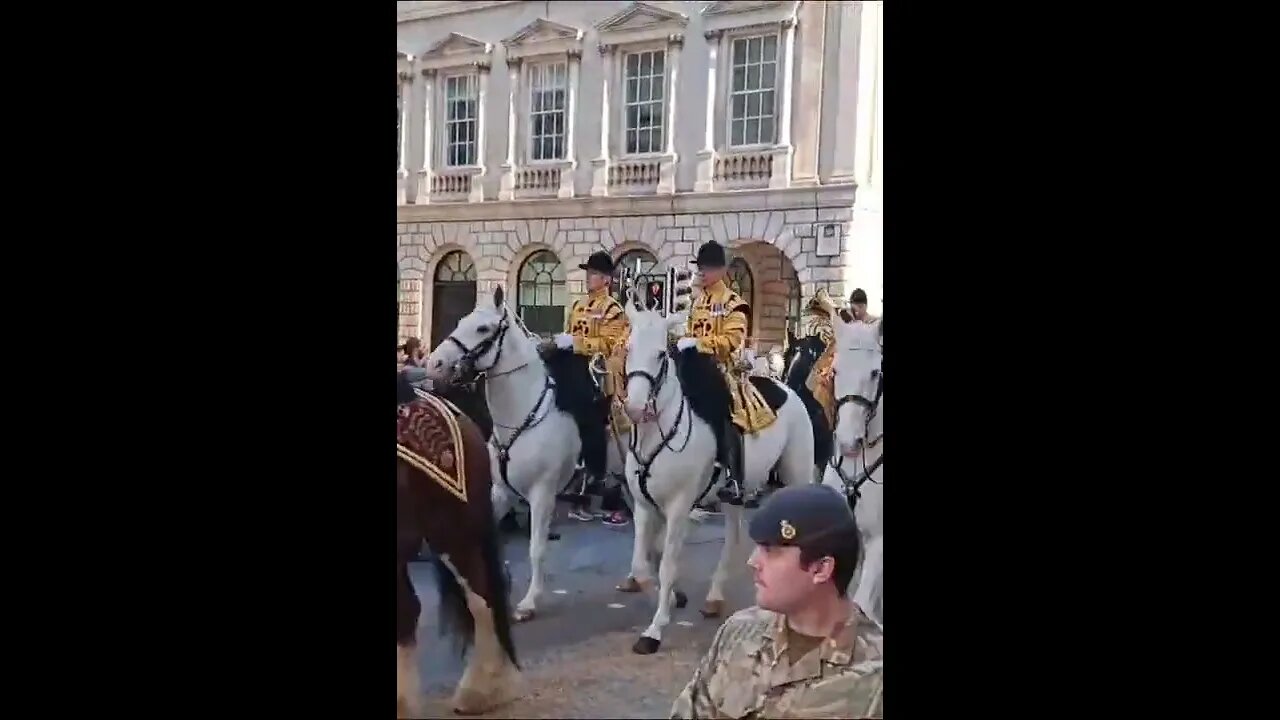 Blues and royals Household cavalry musical support ##lordmayorshow