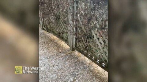 Hail crunches underfoot on this backyard deck