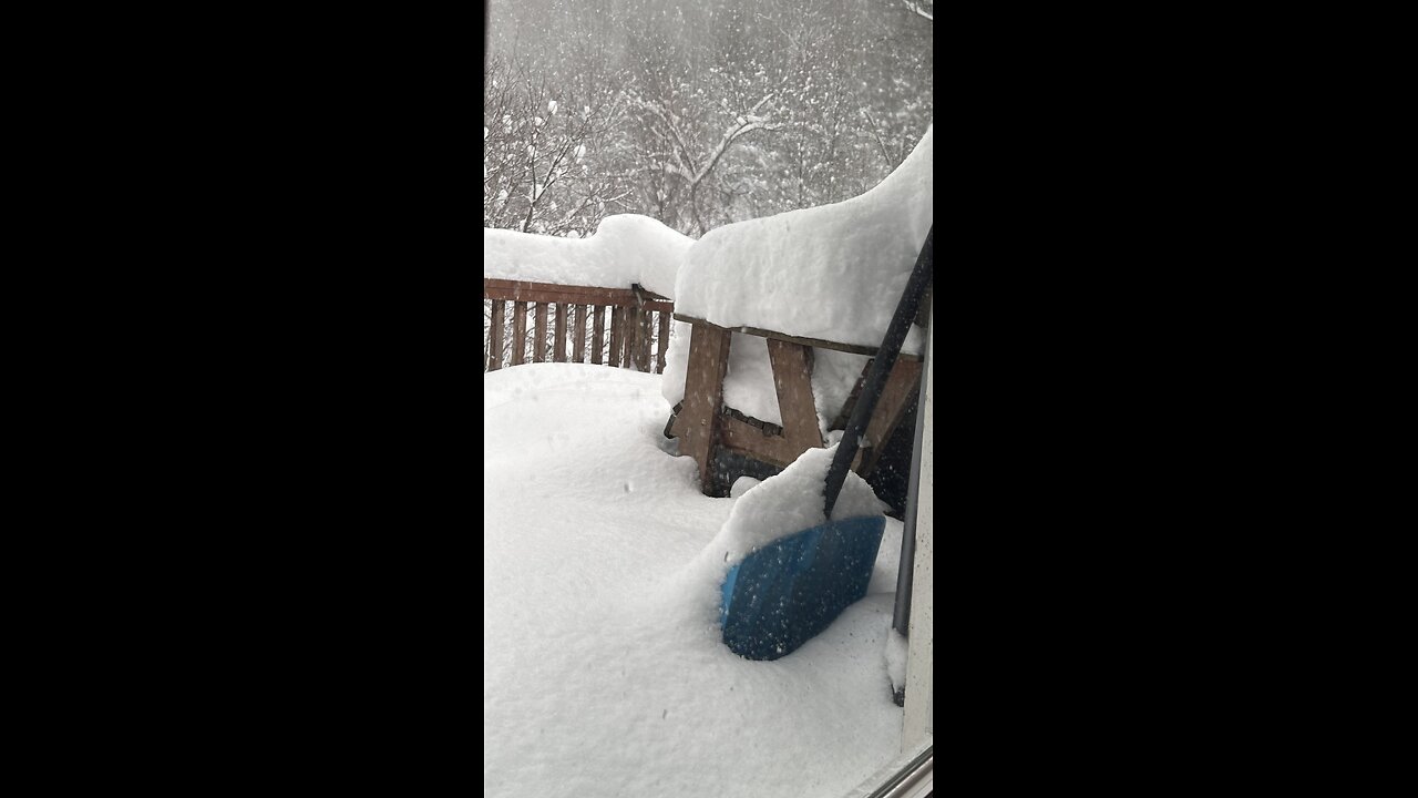 Life during winter storm