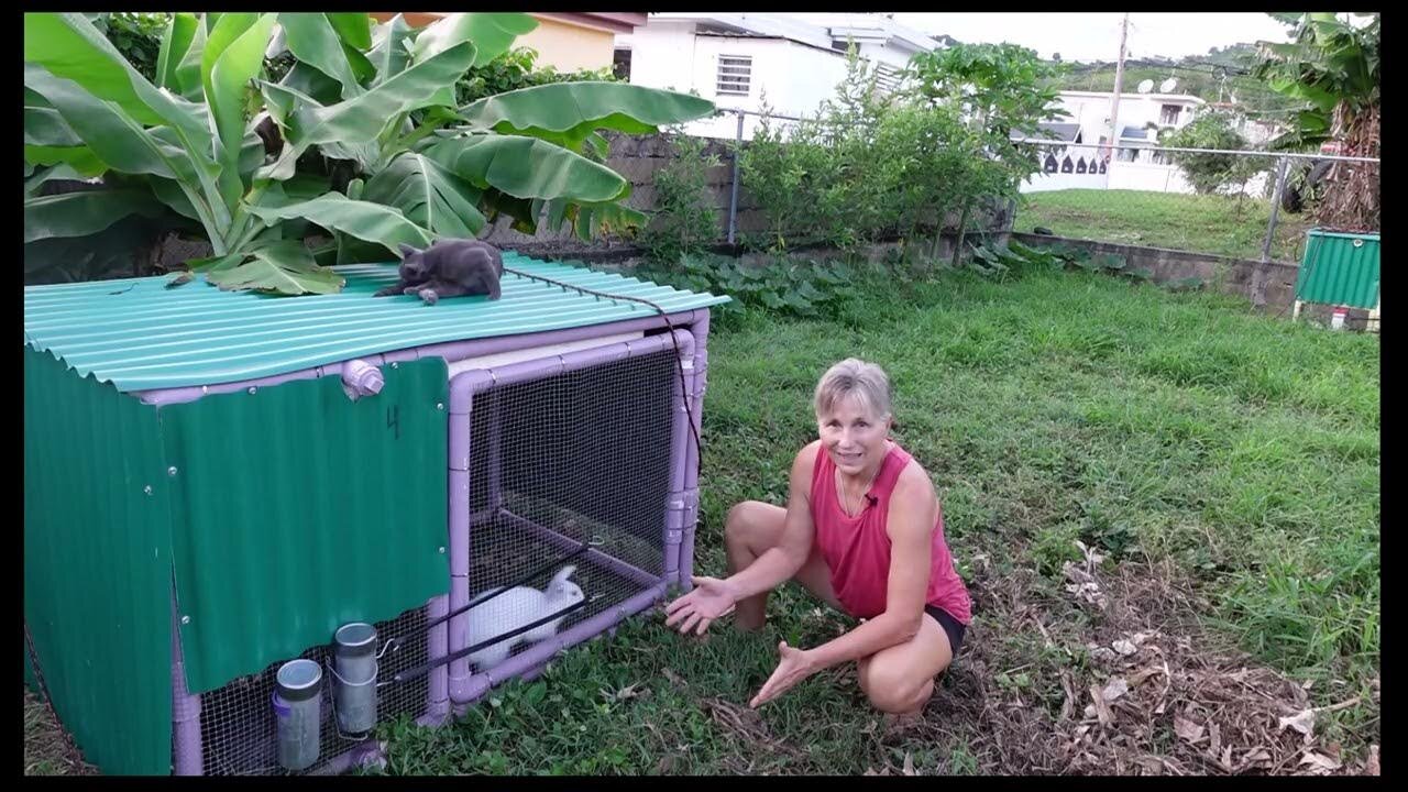 For strong knees, grow your own food