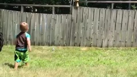 Adorable toddler plays fetch with dog despite backyard fence