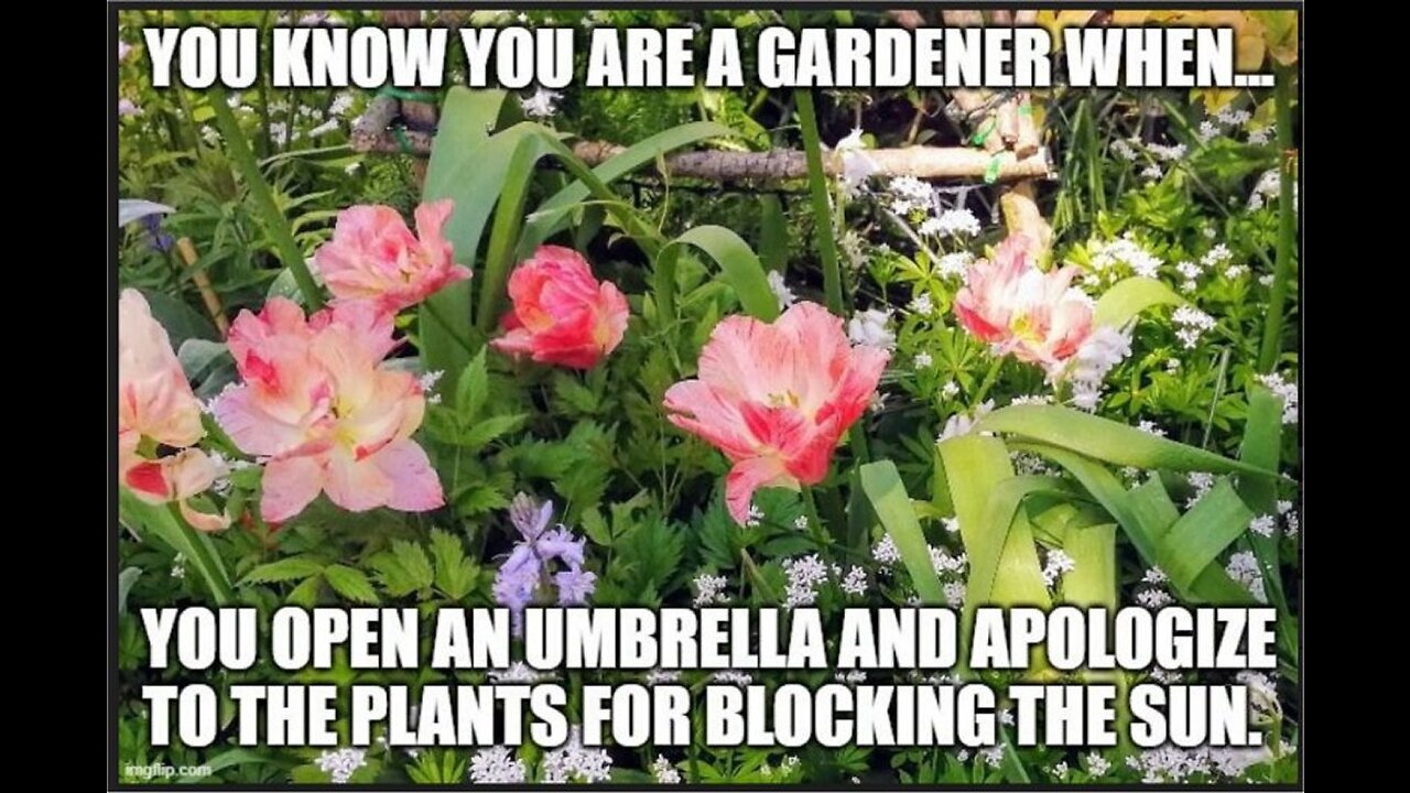 Not bad! 😃😁😍