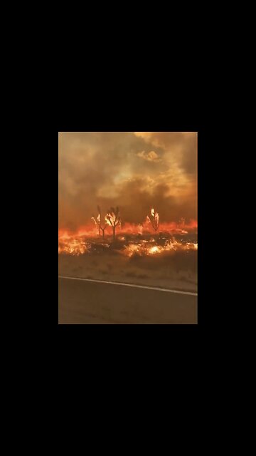 WILDFIRES🌲🔥🍂BURNS NEW YORK MOUNTAIN RANGE MOJAVE DESERT IN CALIFORNIA🔥🏜️🌳🔥💫
