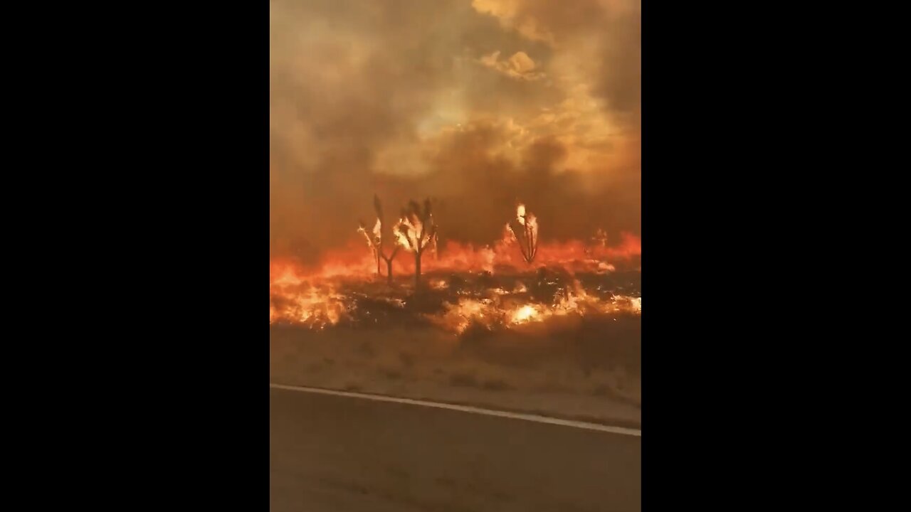 WILDFIRES🌲🔥🍂BURNS NEW YORK MOUNTAIN RANGE MOJAVE DESERT IN CALIFORNIA🔥🏜️🌳🔥💫