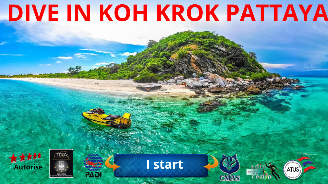 🤿 Diving in koh krok island near koh larn in Pattaya