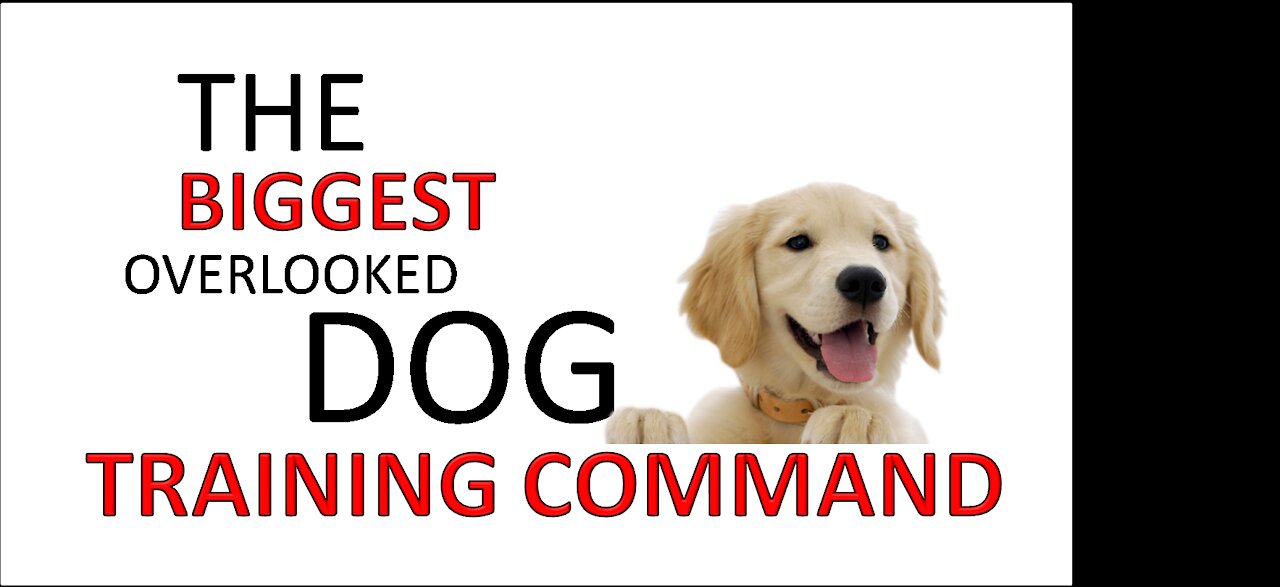 THE BIGGEST OVERLOOKED DOG TRAINING COMMAND!