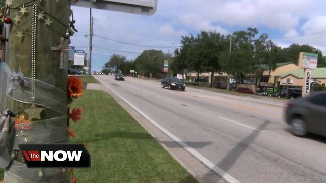 New push to make Busch Boulevard safer following several pedestrian and bicycle crashes