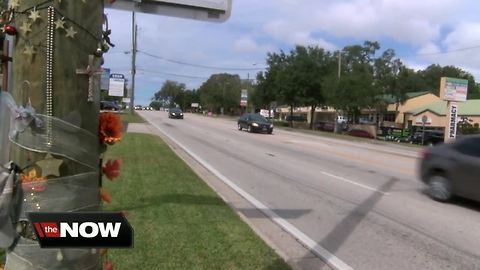 New push to make Busch Boulevard safer following several pedestrian and bicycle crashes