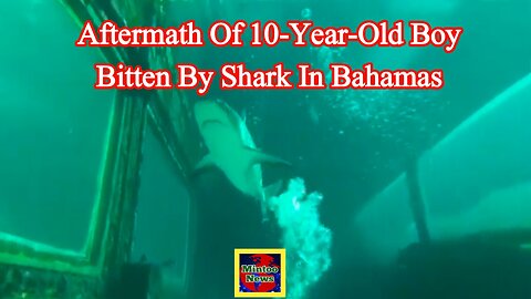 Video captures aftermath of 10-year-old boy bitten by shark in Bahamas