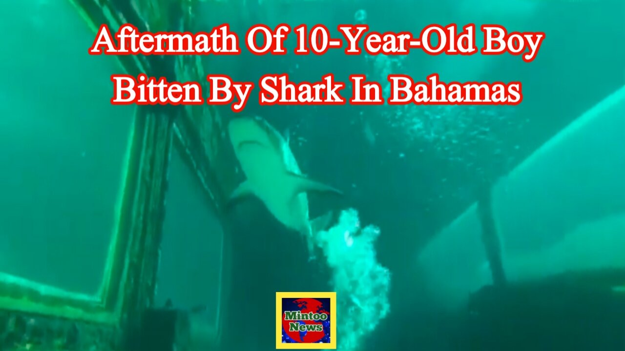 Video captures aftermath of 10-year-old boy bitten by shark in Bahamas