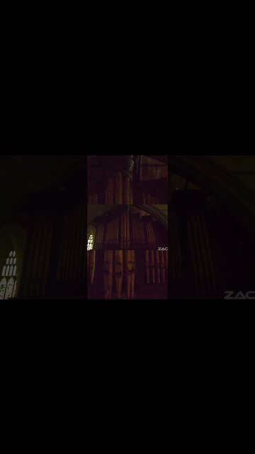 Organs created a Sound wave Pattern combined with the Tuning forks acting as a Resonator #tartaria