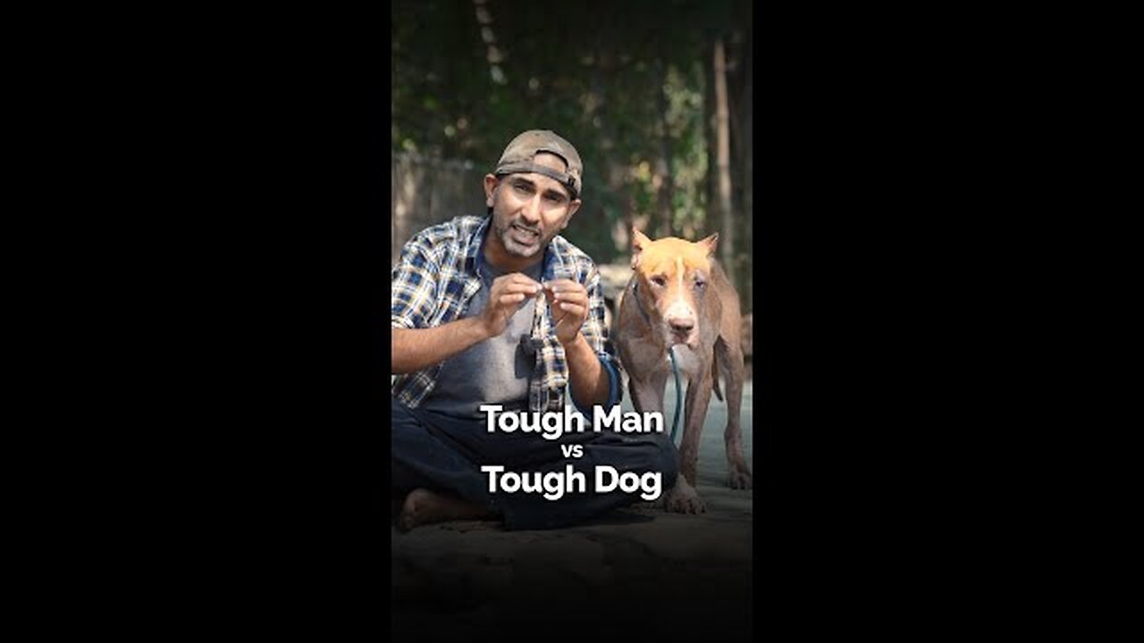 Tough man Vs Tough dog #shorts