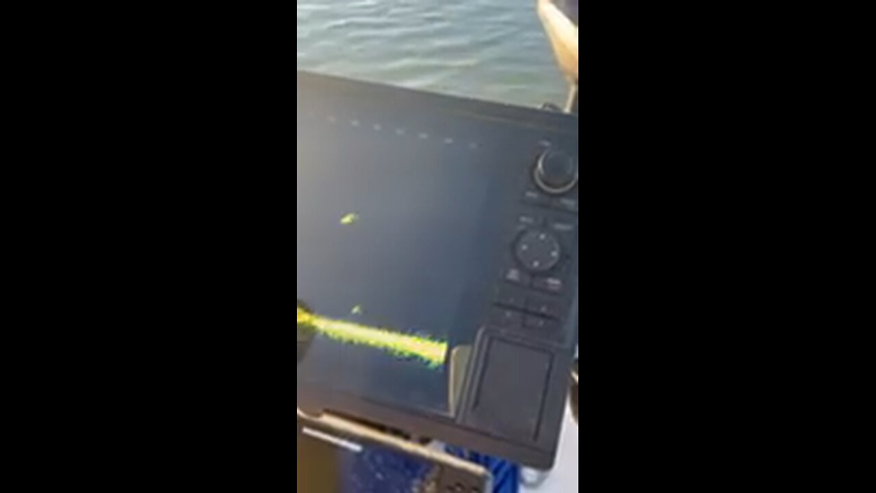 Live scope casting to crappie