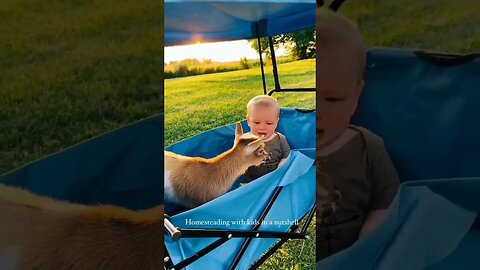 baby goat sounds vs baby sound | funny videos | #shorts