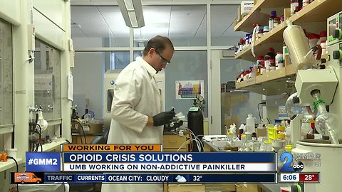 UMB professor working on non-addictive pain killer