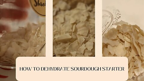 How to PRESERVE your SOURDOUGH STARTER | Dehydrating Sourdough Starter