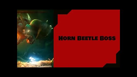 Ori: Horn Beetle Boss
