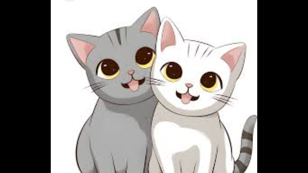 Funny Cats | Cute Cates | Funny Animals For Kids | Cute Animals | Part 11 | The Pet Collections 1992