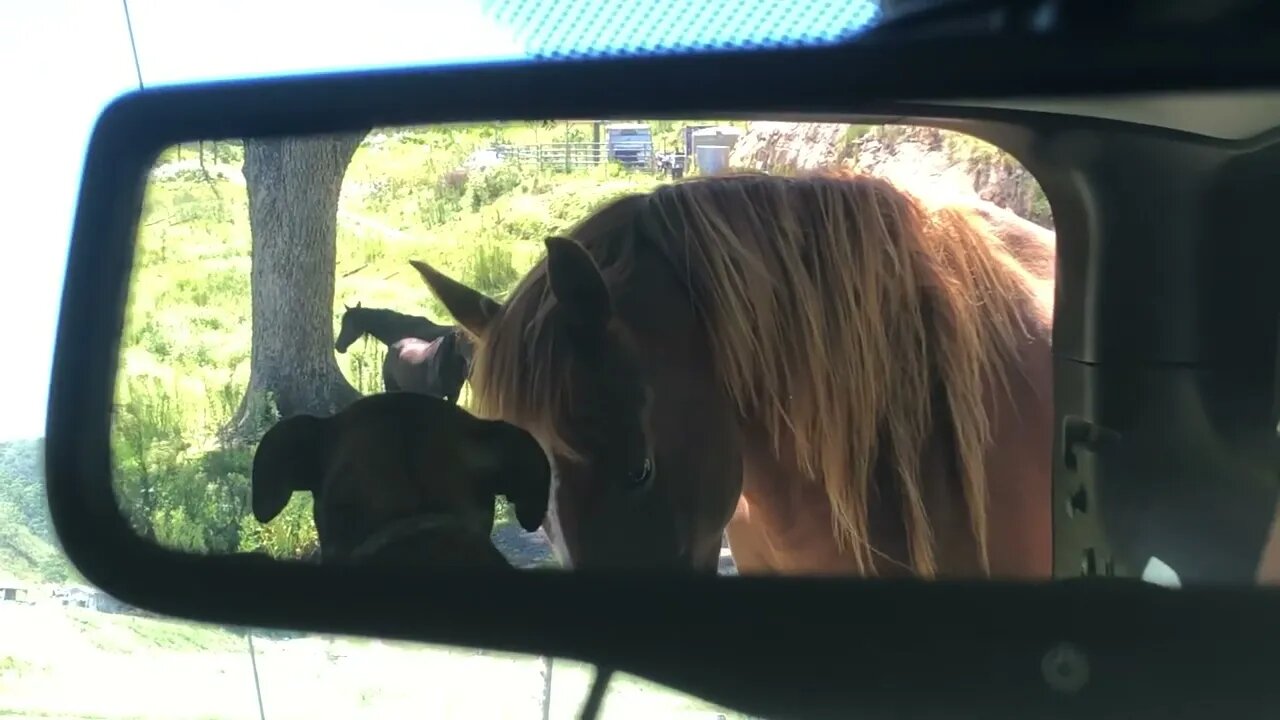 Just though this was such a lovely view in my mirror wanted to share it with you