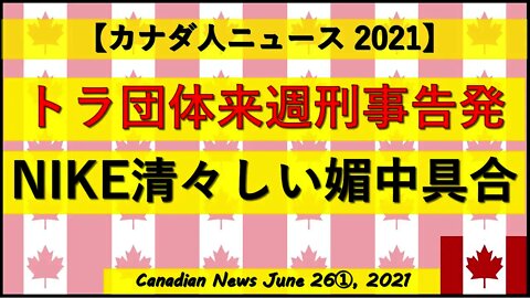 トラ団体来週刑事告発へ NIKEの清々しいくらいの媚中具合