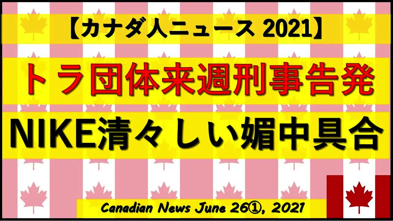 トラ団体来週刑事告発へ NIKEの清々しいくらいの媚中具合