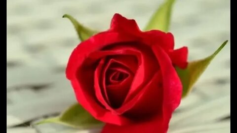 5.Tag Novene zur Hl. Rita