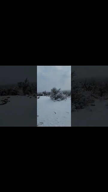 Sedona Snow Day, camping in the snow. woke up to a little bit of white stuff Feb 26th