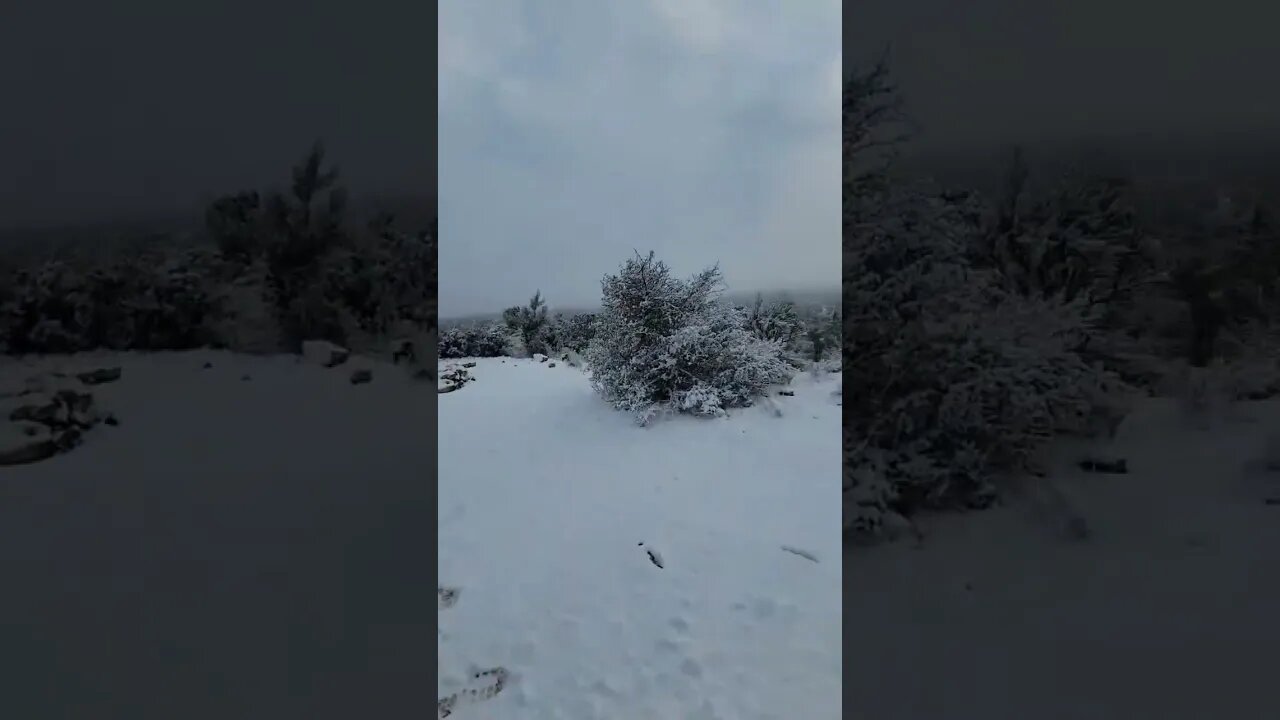 Sedona Snow Day, camping in the snow. woke up to a little bit of white stuff Feb 26th