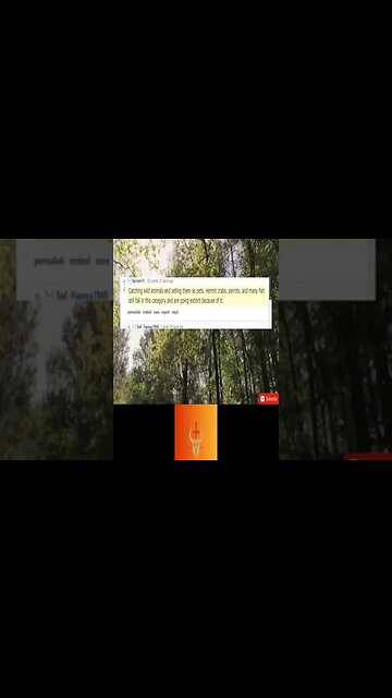 What is legal and should become illegal?