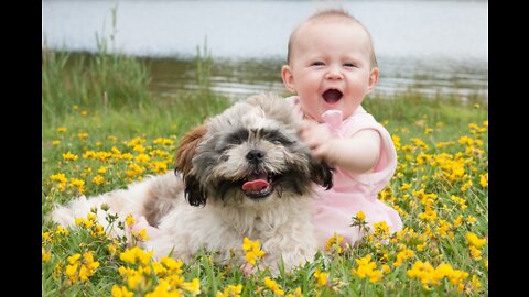 Dog dancing video