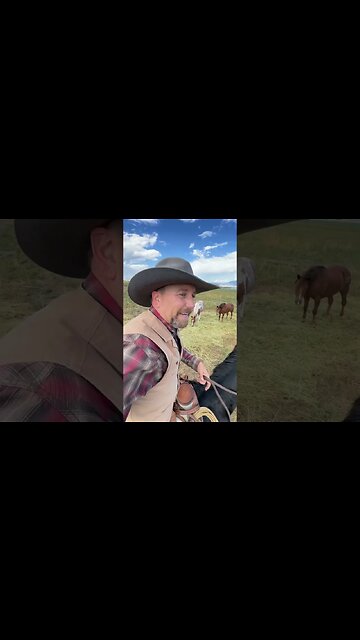 Wild Love or a Load of Crap!