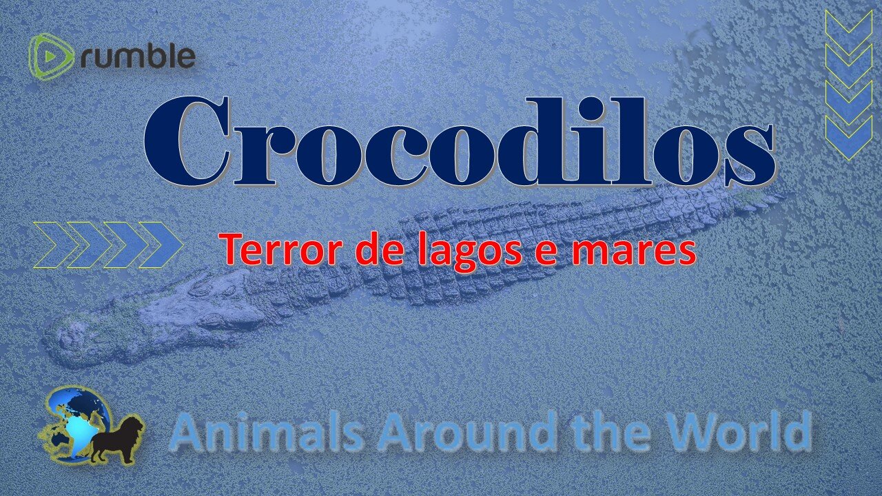 Crocodiles - Terror of lakes and seas